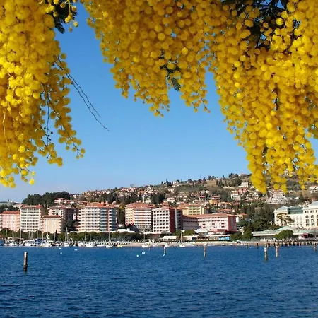 Floating Sea House Aurora Počitniška hiša *