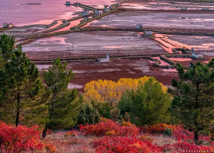 Floating Sea House Aurora * Portoroz