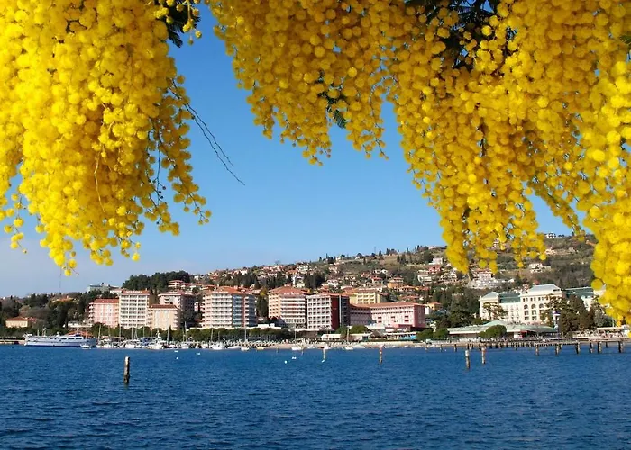 Floating Sea House Aurora Casa de Férias *